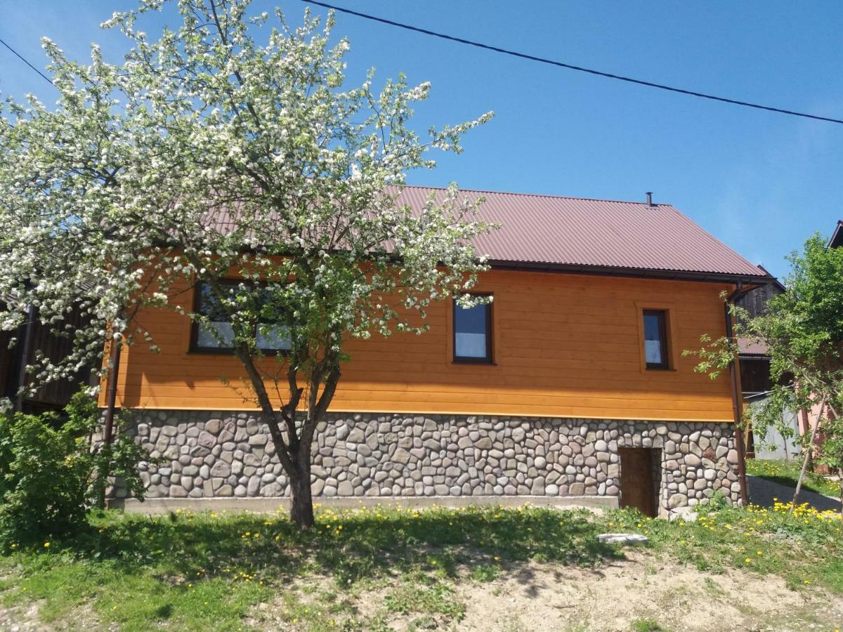 Hornicok Villa Falsztyn Ngoại thất bức ảnh
